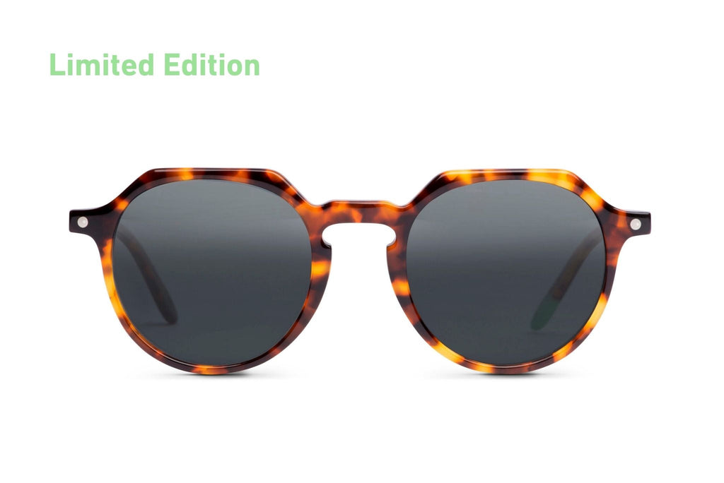 Wood-Frame Sunglasses — Chobe Tortoise