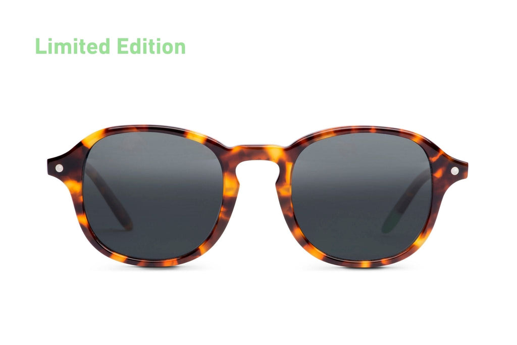 Wood-Frame Sunglasses — Tortoise